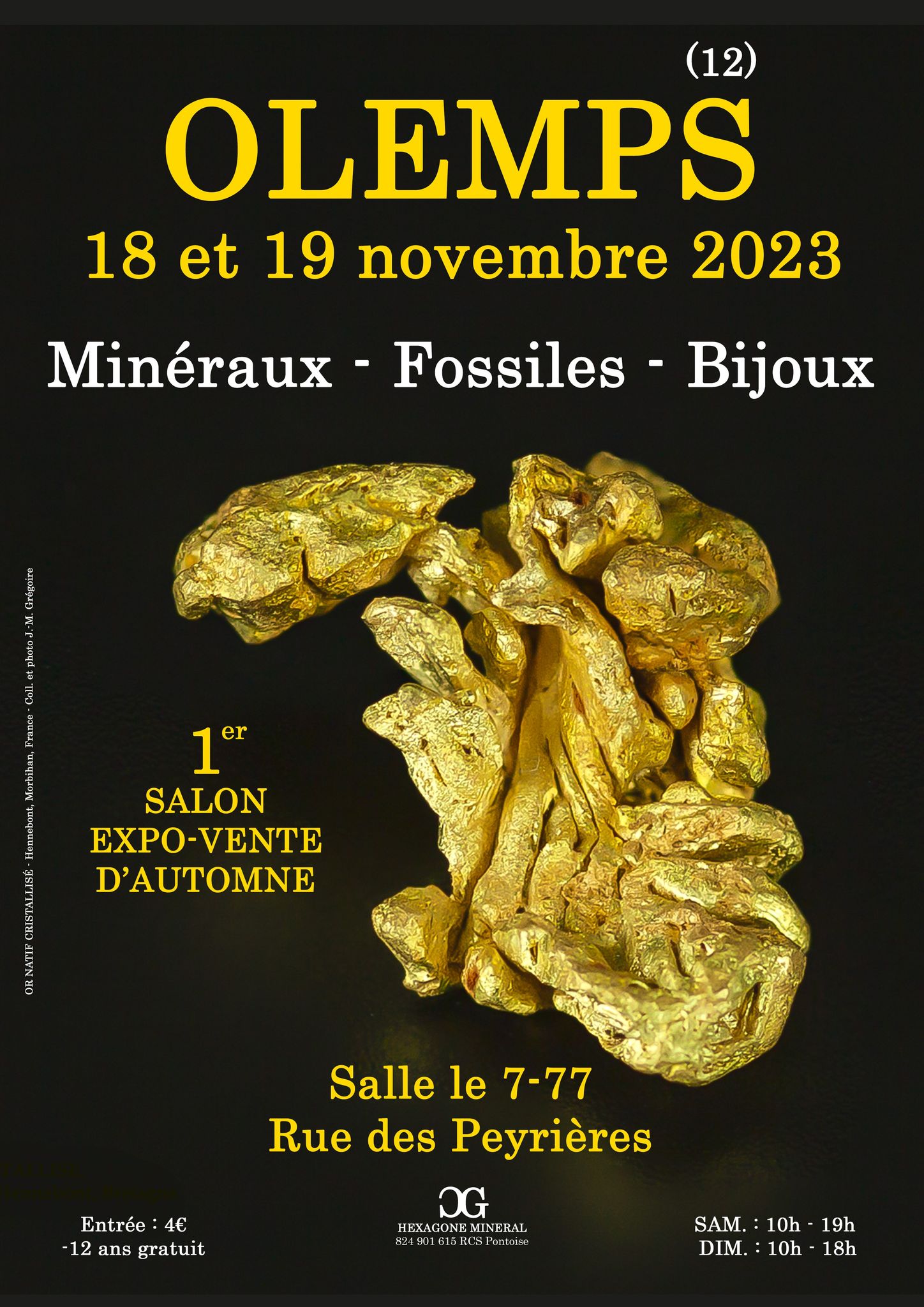 1er Salon minéraux fossiles bijoux d'automne de Olemps