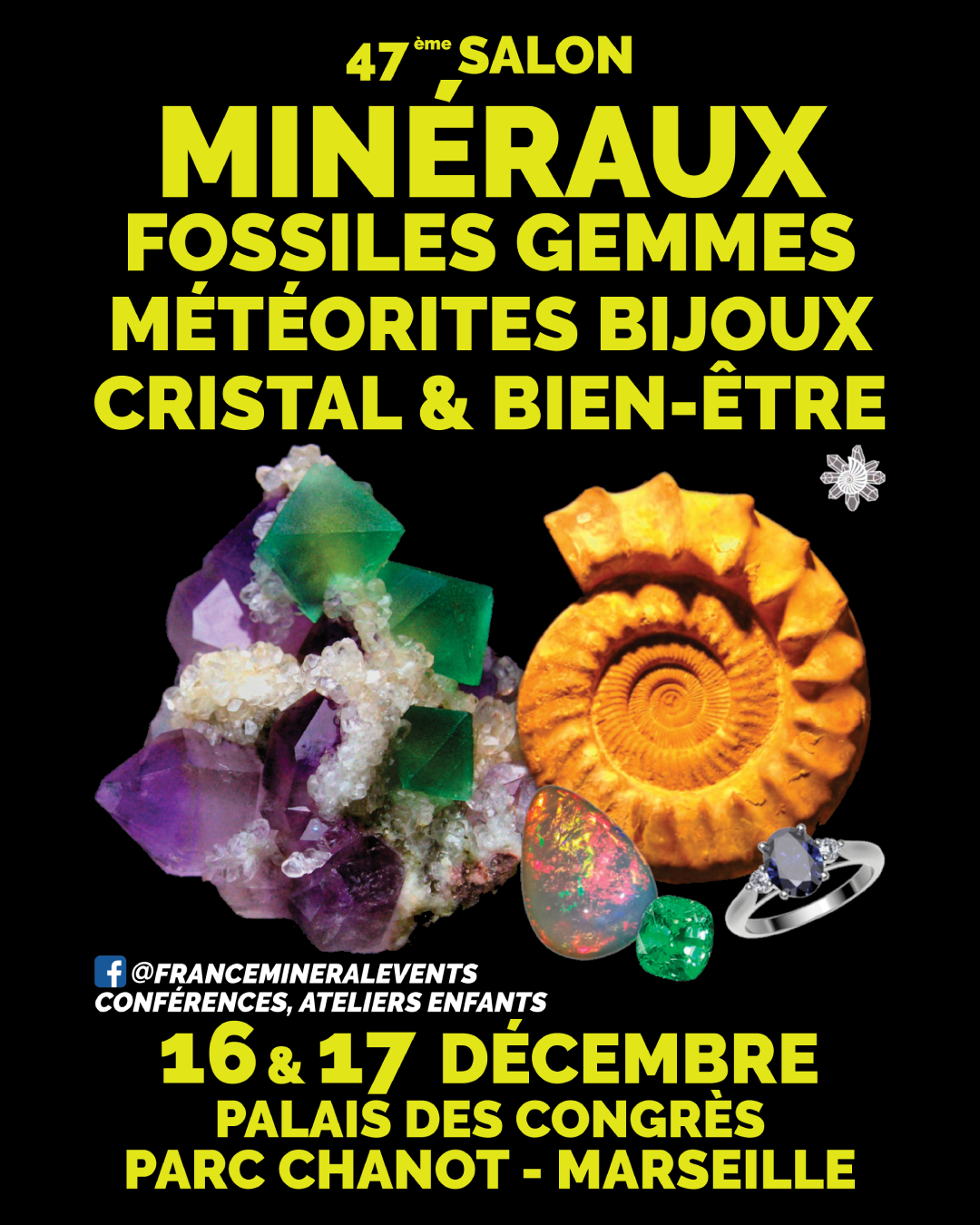 47ème Salon des Minéraux, Fossiles, Gemmes et Bijoux de Marseille