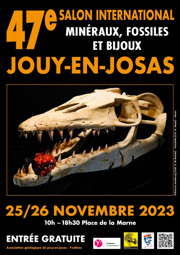 Salon international des mineraux, fossiles et bijoux