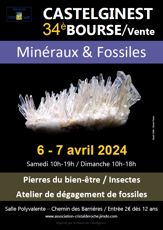 34ème Bourse vente minéraux fossiles pierres du bien-être