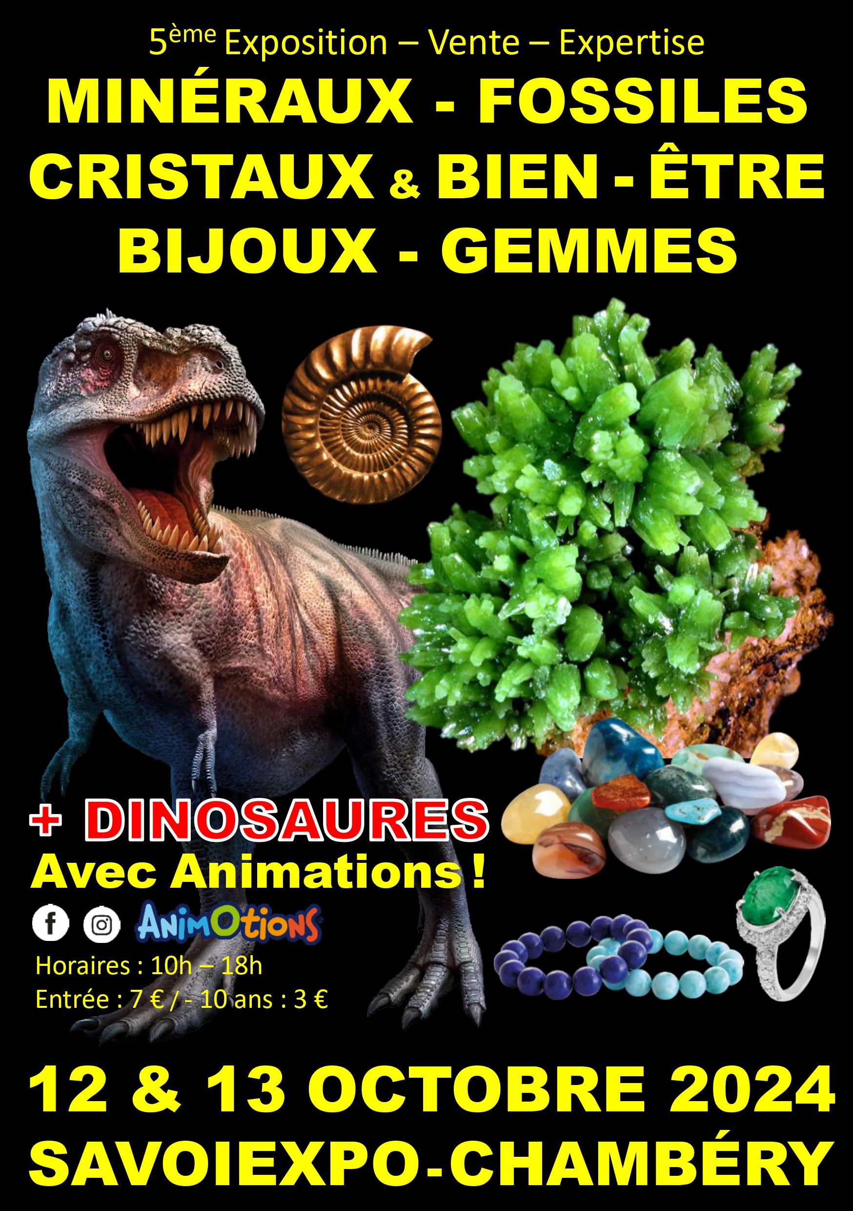 5ème Salon Minéraux Fossiles Cristaux Chambery