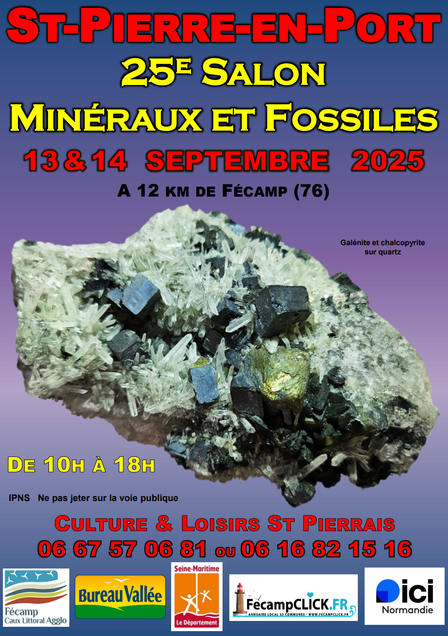 25ème bourse Mineraux et Fossiles