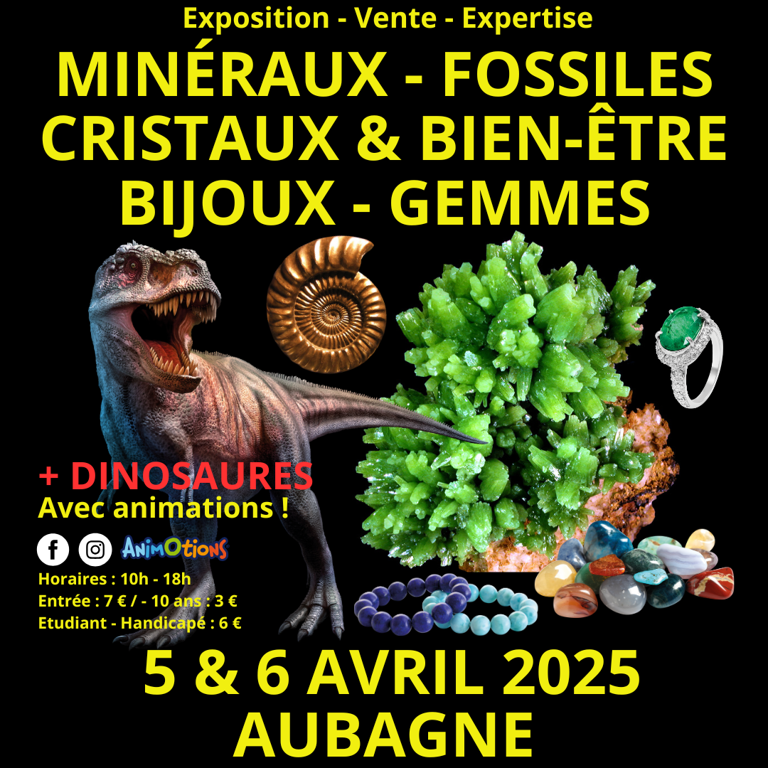 4ème Salon Minéraux Fossiles Cristaux Bien-Être Bijoux et Gemmes