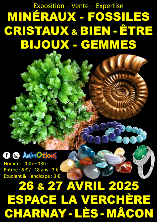 Salon Minéraux Fossiles Cristaux & Bien-Être Bijoux et Gemmes