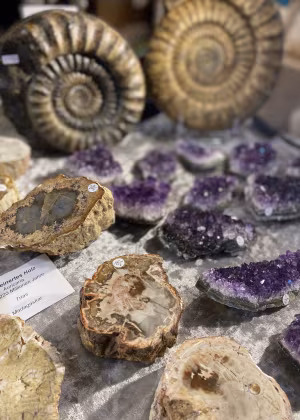 Pietre e minerali bellissimi 2026
