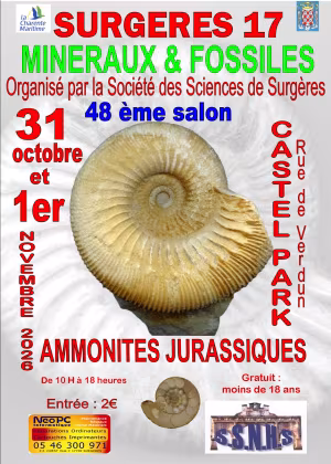 48ª Mostra Internazionale di Minerali e Fossili