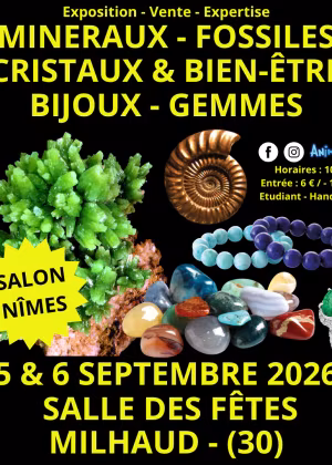 Mostra di minerali, fossili e cristalli
