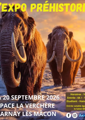 La mostra sulla preistoria