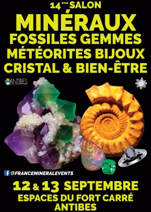 14ª Mostra di Mineralogia di Antibes