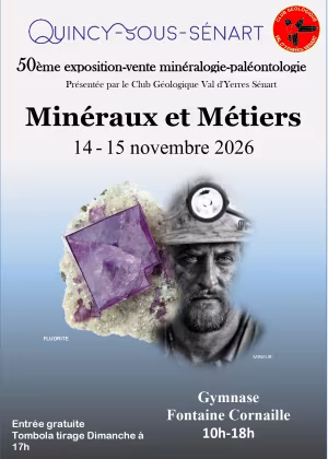 Fiera dei minerali e dei fossili di Quincy-Sous-Senart