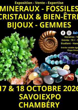 7ª Fiera dei Minerali, Fossili e Cristalli