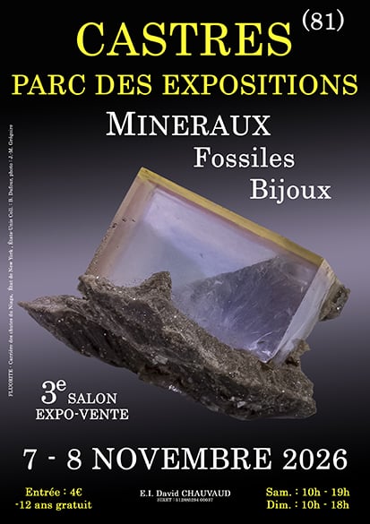 3e salon minéraux fossiles bijoux de Castres