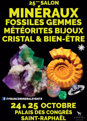 25° Mostra Minerale di Saint-Raphaël