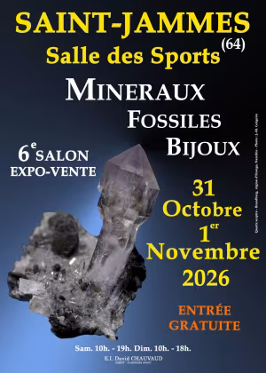 6ª Fiera di Saint-James dedicata a minerali, fossili e gioielli