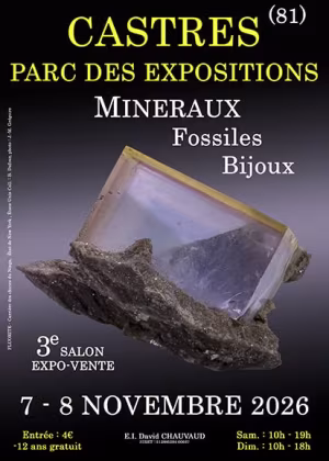 3ª FIERA DEI MINERALI, DEI FOSSILI E DEI GIOIELLI DI CASTRES
