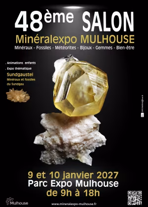 48ª edizione della fiera Mineralexpo-Mulhouse 2027