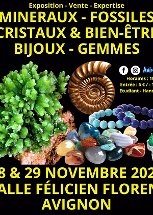 Salone Minerali Fossili Cristalli & Benessere Gemme e Gioielli