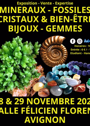 Salone Minerali Fossili Cristalli & Benessere Gemme e Gioielli