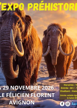 L'Esposizione Preistorica