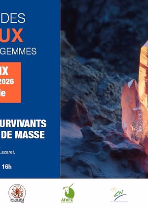 41ª Mostra di Minerali, Fossili e Pietre Preziose