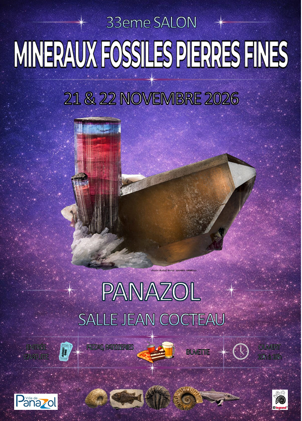 337ME SALON DES MINERAUX FOSSILES ET PIERRES FINES