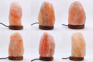 Lampada himalayana