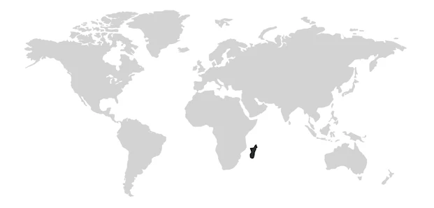 Paese di origine Madagascar