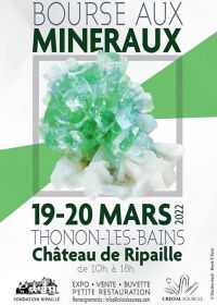 6° scambio minerale