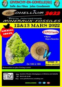 GOHELLIUM2022, Scambio Internazionale MINERALI-FOSSIL
