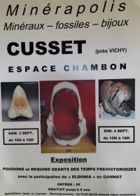 MINERAPOLIS mostra di fossili, minerali e gioielli