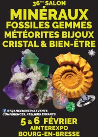 36° Evento Minerario Bourg-en-Bresse