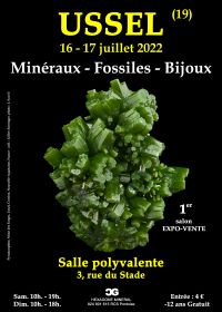 1a Fiera dei Minerali di Gioielleria Fossile