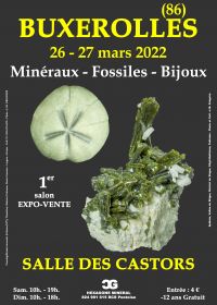 1a Fiera dei gioielli di minerali fossili