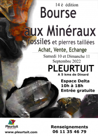 14a Borsa di studio sui minerali e sui fossili