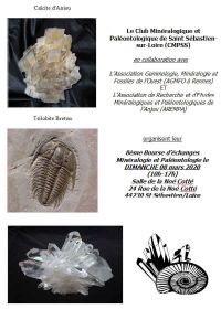 Ottavo scambio di minerali e fossili