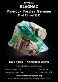 42a Borsa di studio sui minerali e sui fossili