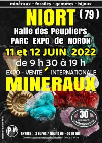 Expo-vendita di minerali, fossili, gemme, gioielli