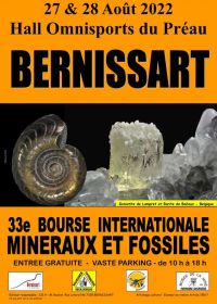 33a Fellowship internazionale di minerali e fossili