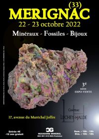 3a Fiera dei gioielli di minerali fossili