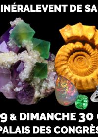 21° MinéralEvento Fiera di Saint-Raphaël