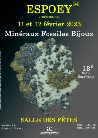 XIII Fiera dei minerali fossili e dei gioielli