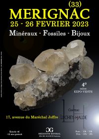 4° FIERA DEI GIOIELLI DEI MINERALI FOSSILI