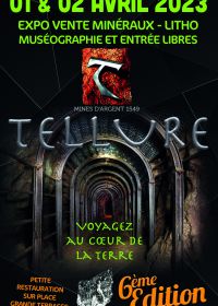 6a mostra di vendita di minerali e litografie