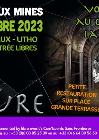 7a vendita europea di minerali e litografia