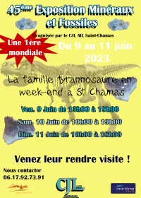 45° Fiera dei Minerali e dei Fossili