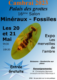 17a Fiera dei Minerali e dei Fossili AGC. Ingresso gratuito dalle 9:30 alle 18:30
