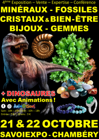 4a Fiera dei cristalli minerali fossili e del benessere