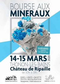 6 ° scambio di minerali e fossili