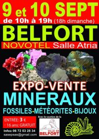 Fiera dei minerali fossili e dei gioielli
