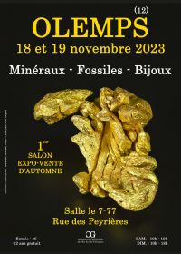 1a fiera dei minerali fossili di gioielli autunnali Olemps
